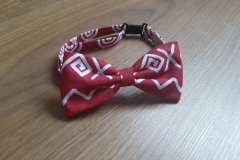spoločenský motýlik